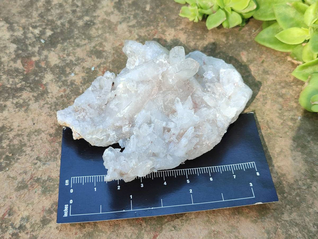 Natural Quartz Clusters x 24 From Madagascar - Toprock Gemstones and Minerals 