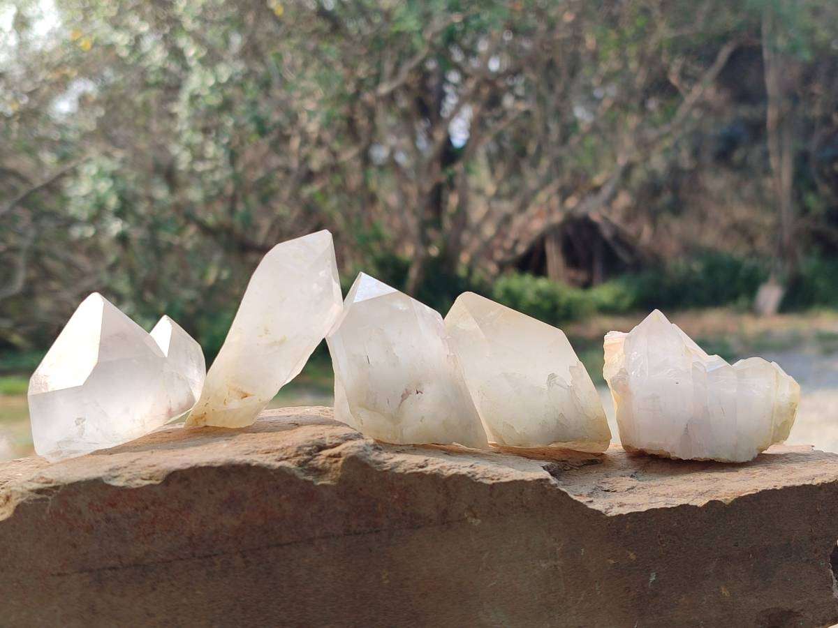 Natural Quartz Clusters x 24 From Madagascar - Toprock Gemstones and Minerals 