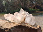 Natural Quartz Clusters x 24 From Madagascar - Toprock Gemstones and Minerals 