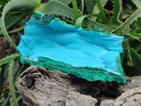 Natural Malachite Malacolla Botryoidal Chrysocolla Specimens x 2 From Kulukuluku, Congo