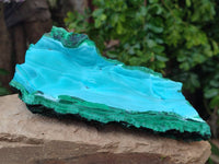 Natural Malachite Malacolla Botryoidal Chrysocolla Specimens x 2 From Kulukuluku, Congo