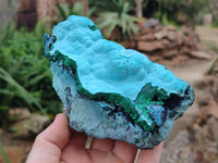 Natural Malachite Malacolla Botryoidal Chrysocolla Specimens x 2 From Kulukuluku, Congo