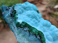 Natural Malachite Malacolla Botryoidal Chrysocolla Specimens x 2 From Kulukuluku, Congo