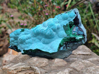 Natural Malachite Malacolla Botryoidal Chrysocolla Specimens x 2 From Kulukuluku, Congo