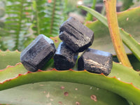 Natural Schorl Black Tourmaline Specimens x 111 From Zimbabwe