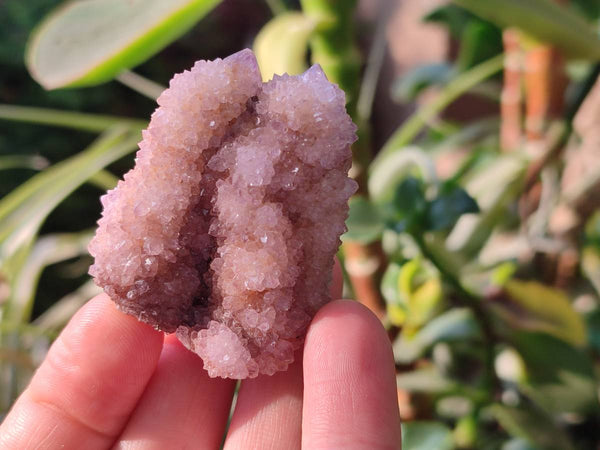 Natural Amethyst Spirit Quartz Clusters x 20 From Boekenhouthoek, South Africa