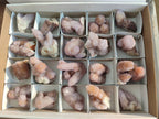 Natural Amethyst Spirit Quartz Clusters x 20 From Boekenhouthoek, South Africa - Toprock Gemstones and Minerals 