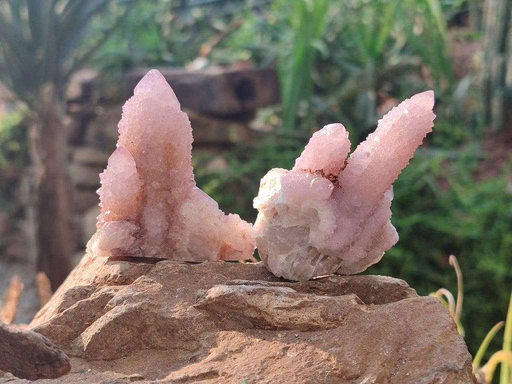 Natural Amethyst Spirit Quartz Clusters x 20 From Boekenhouthoek, South Africa - Toprock Gemstones and Minerals 