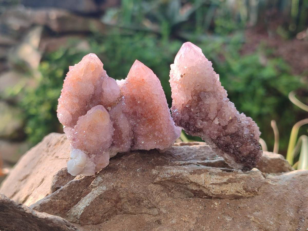 Natural Amethyst Spirit Quartz Clusters x 20 From Boekenhouthoek, South Africa - Toprock Gemstones and Minerals 