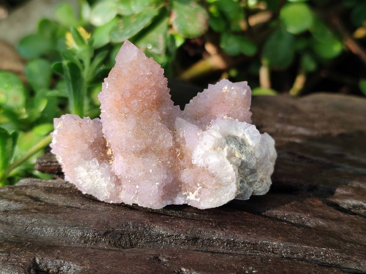 Natural Amethyst Spirit Quartz Clusters x 20 From Boekenhouthoek, South Africa - Toprock Gemstones and Minerals 