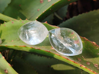 Polished Clear Quartz Crystals 'Angel Tears' x 35 From Madagascar