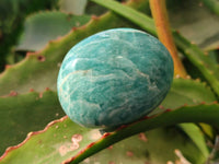 Polished Blue Amazonite Palm Stones x 12 From Madagascar