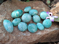 Polished Blue Amazonite Palm Stones x 12 From Madagascar