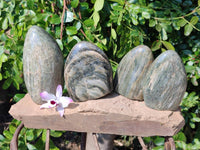Polished Fuchsite Standing Free Forms x 4 From Madagascar