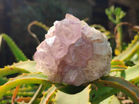 Natural Amethyst Spirit Quartz Clusters x 6 From Boekenhouthoek, South Africa