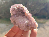 Natural Amethyst Spirit Quartz Clusters x 6 From Boekenhouthoek, South Africa