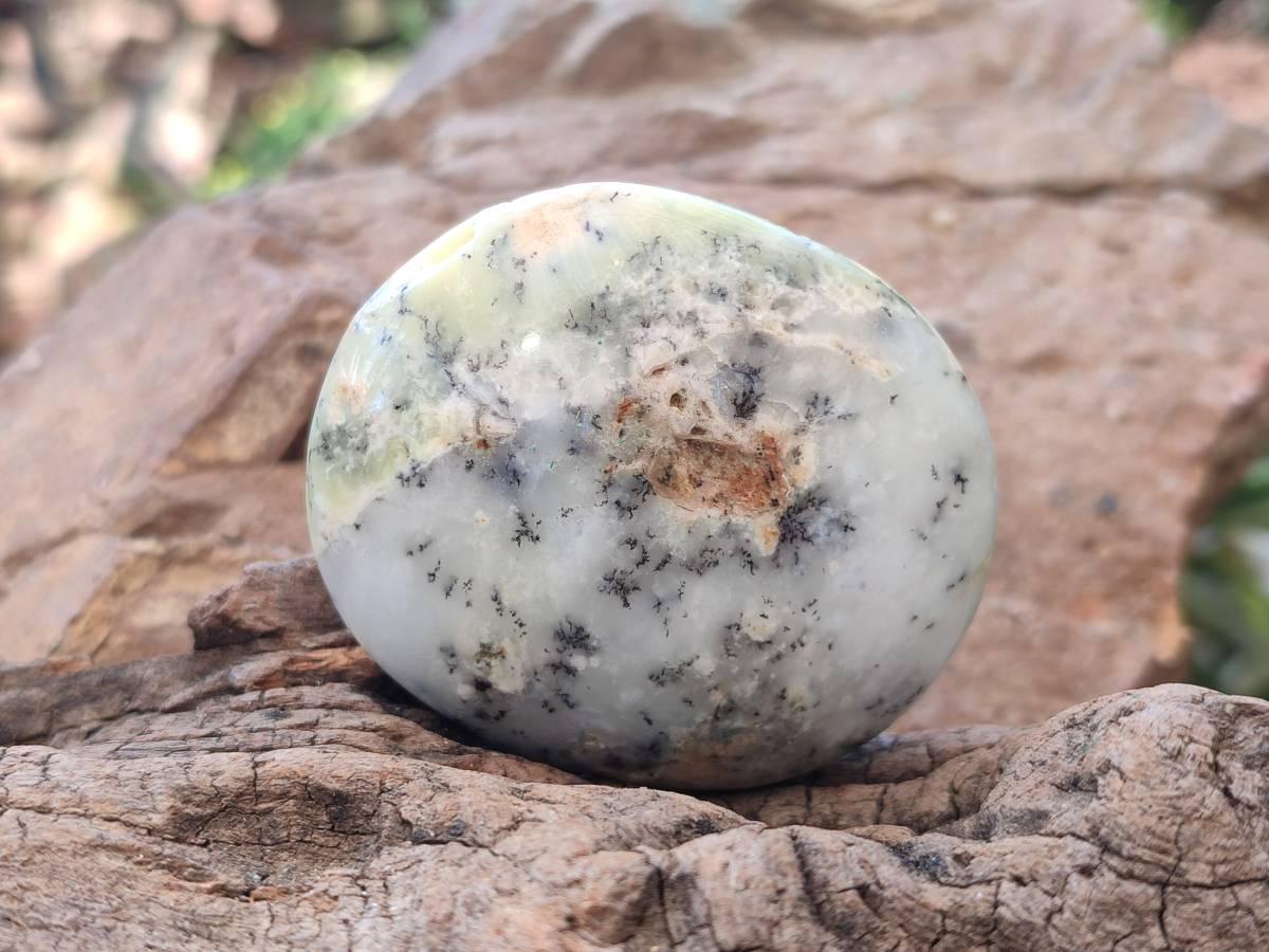 Polished Dendritic White Opal Palm Stones x 12 From Madagascar - Toprock Gemstones and Minerals 