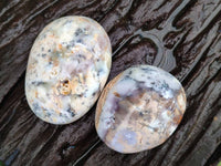 Polished Dendritic White Opal Palm Stones x 12 From Madagascar