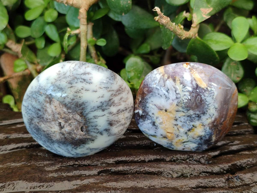 Polished Dendritic White Opal Palm Stones x 12 From Madagascar - Toprock Gemstones and Minerals 