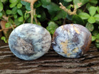 Polished Dendritic White Opal Palm Stones x 12 From Madagascar - Toprock Gemstones and Minerals 