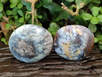Polished Dendritic White Opal Palm Stones x 12 From Madagascar