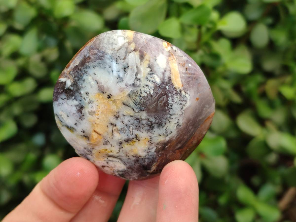 Polished Dendritic White Opal Palm Stones x 12 From Madagascar - Toprock Gemstones and Minerals 