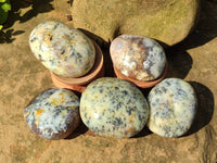 Polished Dendritic White Opal Palm Stones x 12 From Madagascar