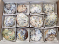 Polished Dendritic White Opal Palm Stones x 12 From Madagascar