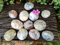 Polished Dendritic White Opal Palm Stones x 12 From Madagascar