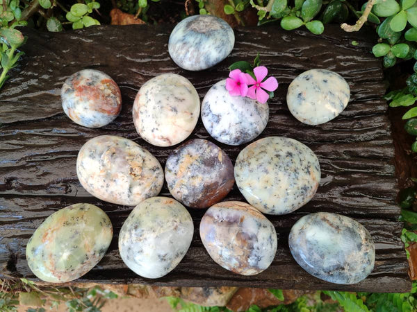 Polished Dendritic White Opal Palm Stones x 12 From Madagascar