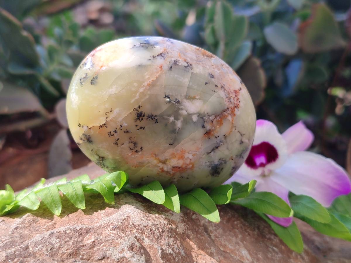 Polished Dendritic White Opal Palm Stones x 12 From Madagascar - Toprock Gemstones and Minerals 