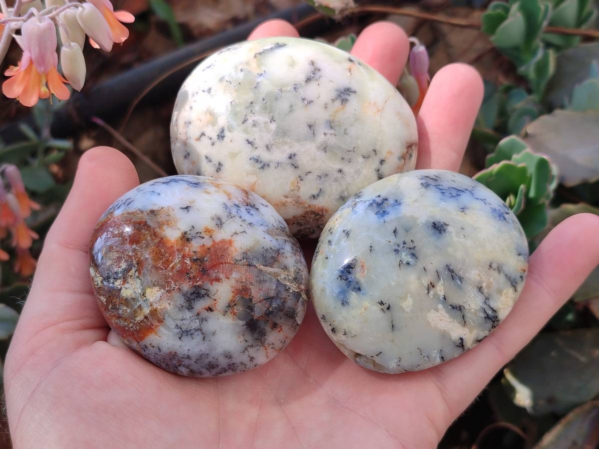 Polished Dendritic White Opal Palm Stones x 12 From Madagascar - Toprock Gemstones and Minerals 