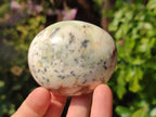 Polished Dendritic White Opal Palm Stones x 12 From Madagascar - Toprock Gemstones and Minerals 