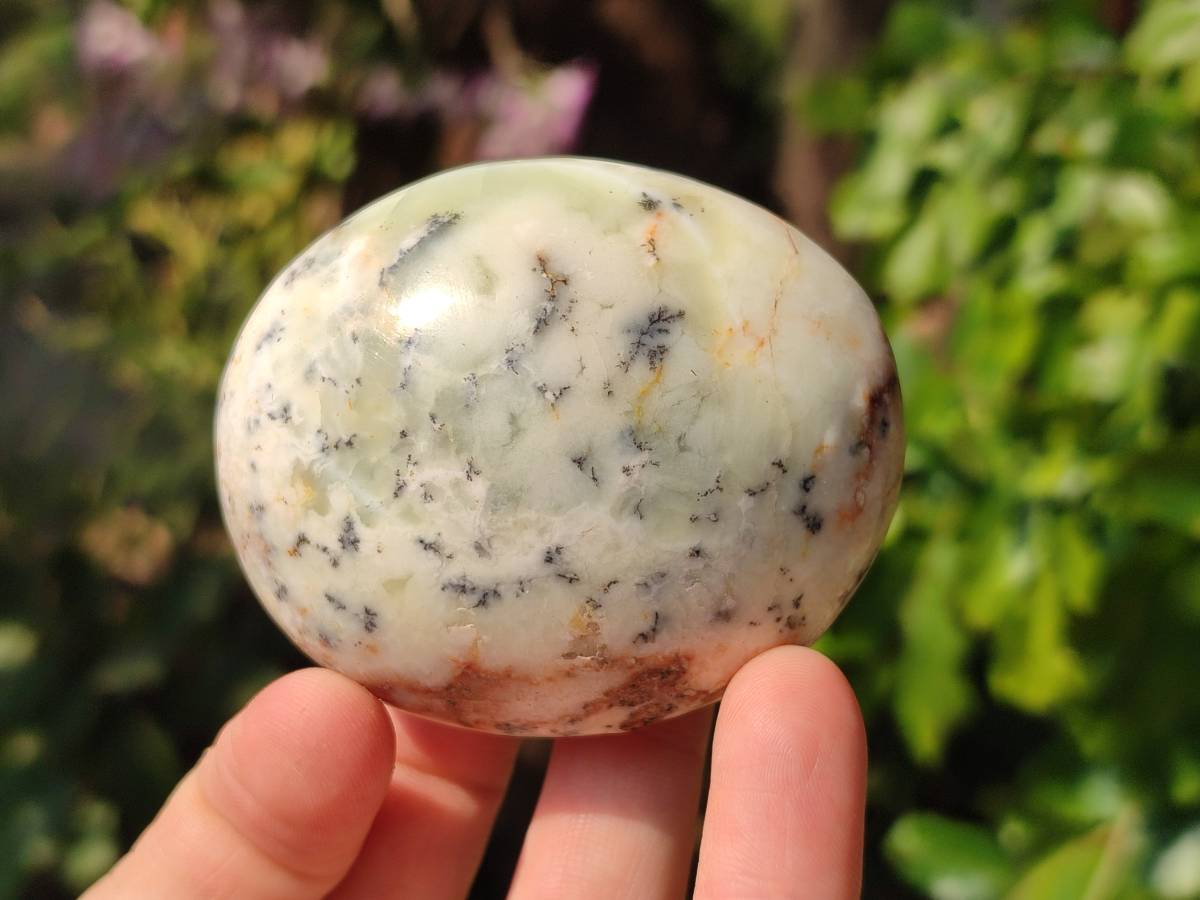 Polished Dendritic White Opal Palm Stones x 12 From Madagascar - Toprock Gemstones and Minerals 