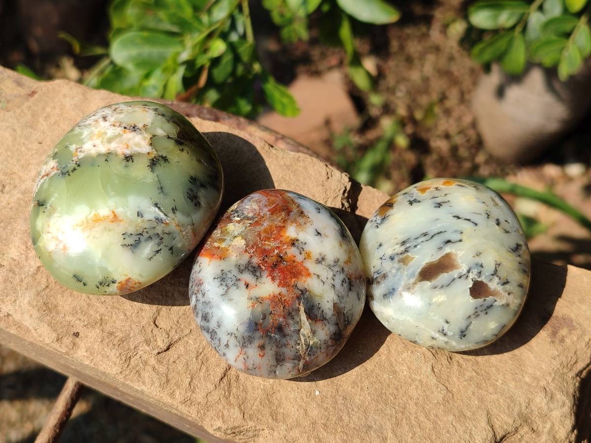 Polished Dendritic White Opal Palm Stones x 12 From Madagascar - Toprock Gemstones and Minerals 