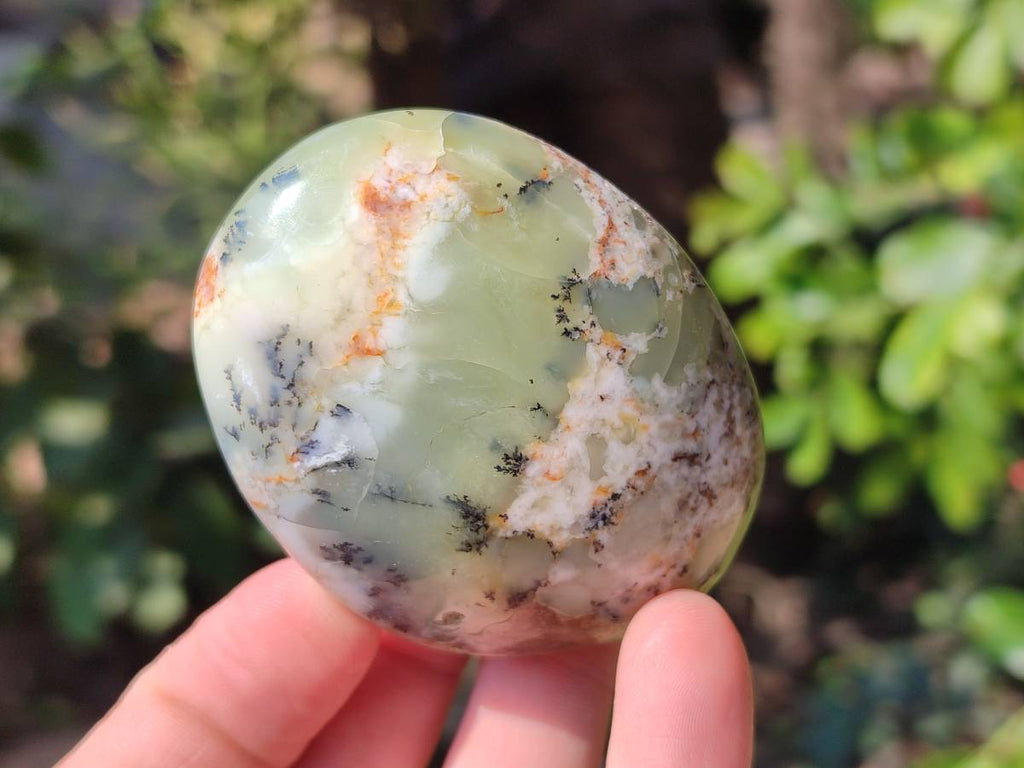 Polished Dendritic White Opal Palm Stones x 12 From Madagascar - Toprock Gemstones and Minerals 