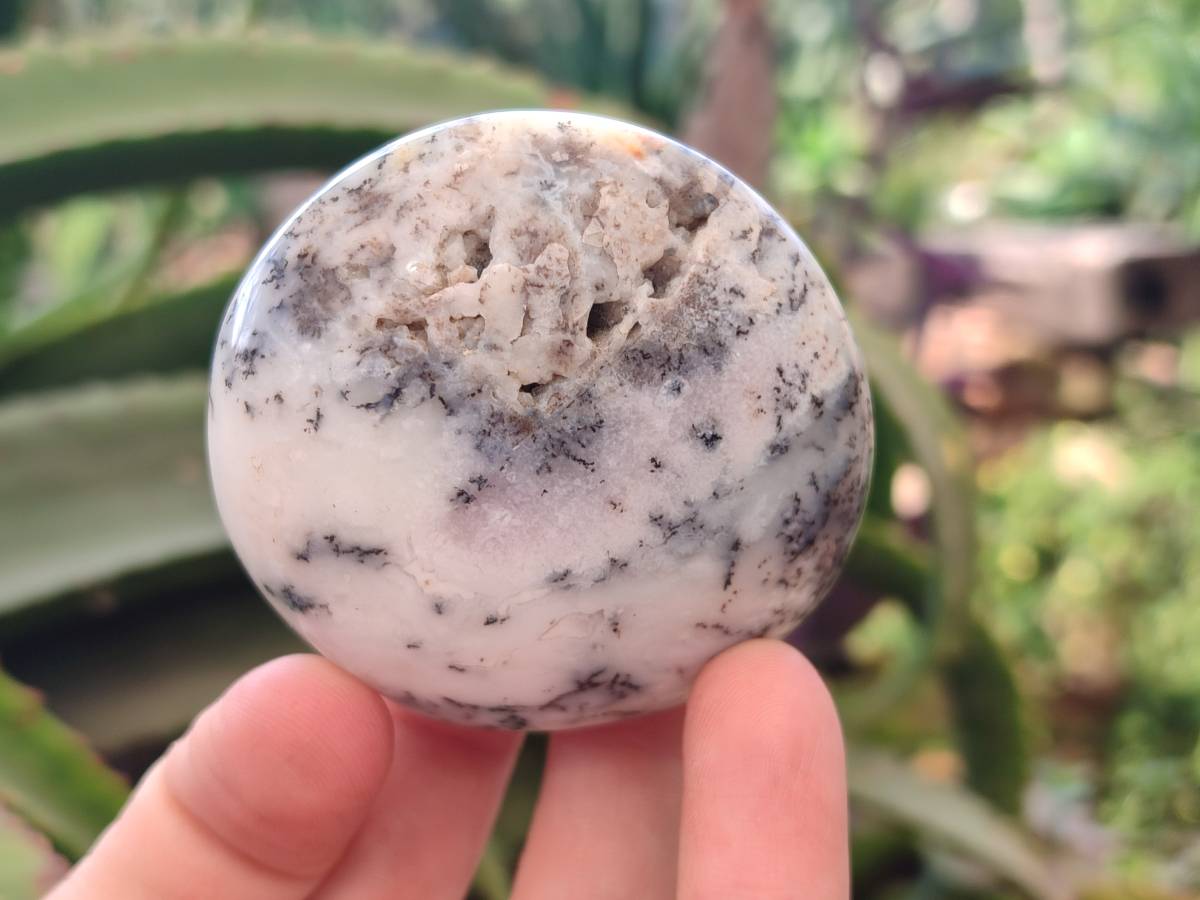 Polished Dendritic White Opal Palm Stones x 12 From Madagascar - Toprock Gemstones and Minerals 