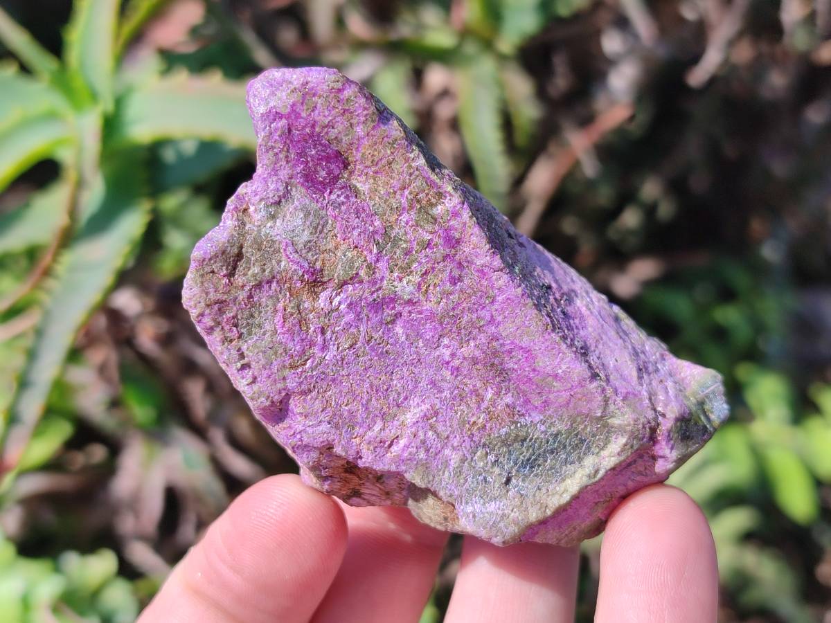 Natural Stichtite Cobbed Specimens x 24 From Barberton, South Africa - Toprock Gemstones and Minerals 