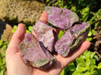 Natural Stichtite Cobbed Specimens x 24 From Barberton, South Africa - Toprock Gemstones and Minerals 