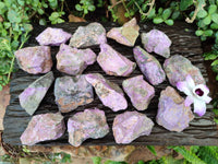 Natural Stichtite Cobbed Specimens x 24 From Barberton, South Africa