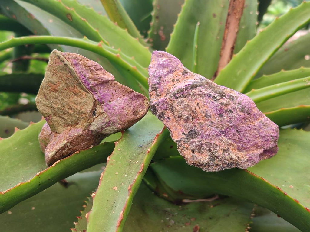 Natural Stichtite Cobbed Specimens x 24 From Barberton, South Africa - Toprock Gemstones and Minerals 