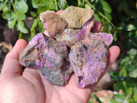 Natural Stichtite Cobbed Specimens x 24 From Barberton, South Africa