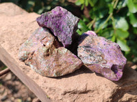 Natural Stichtite Cobbed Specimens x 24 From Barberton, South Africa