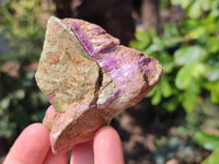 Natural Stichtite Cobbed Specimens x 24 From Barberton, South Africa