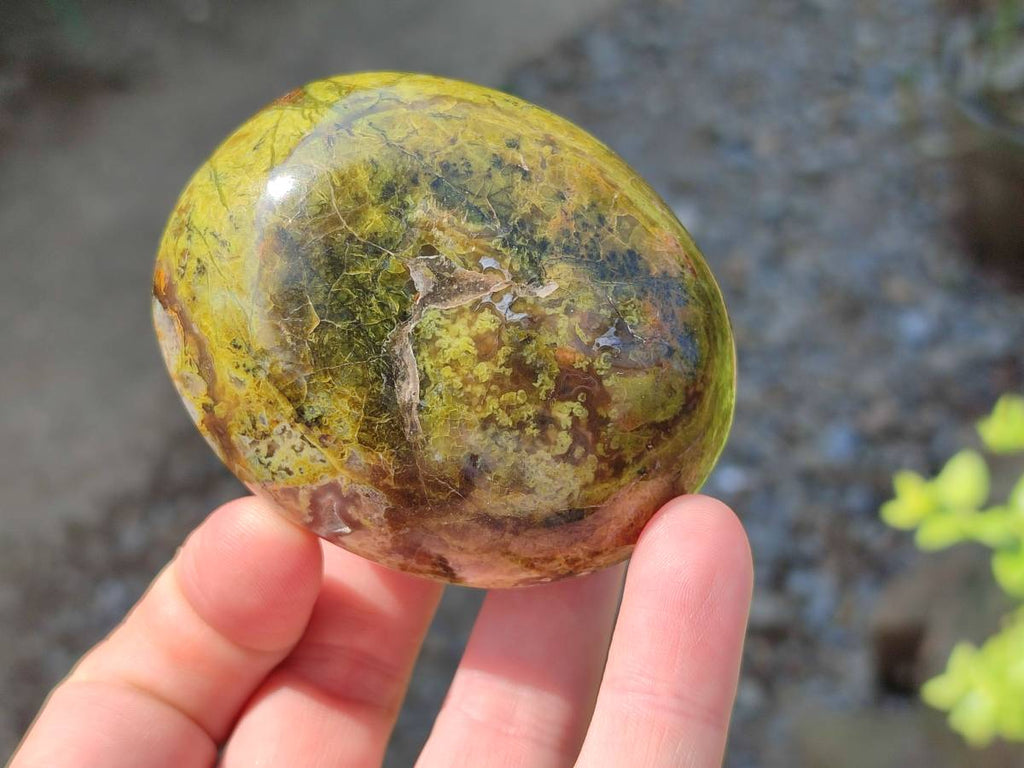 Polished Green Opal Palm Stones x 6 From Antsirabe, Madagascar - Toprock Gemstones and Minerals 