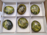 Polished Green Opal Palm Stones x 6 From Antsirabe, Madagascar