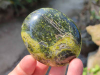 Polished Green Opal Palm Stones x 6 From Antsirabe, Madagascar