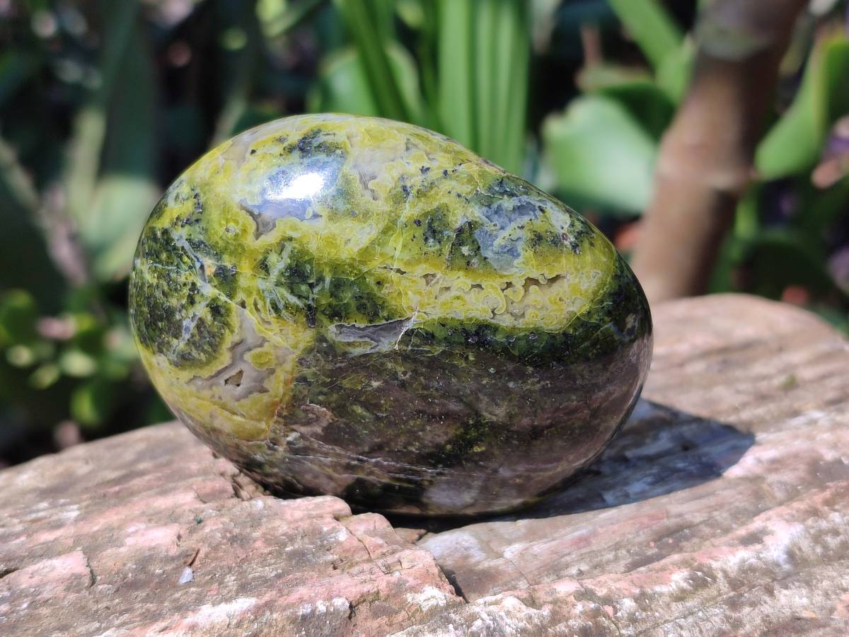 Polished Green Opal Palm Stones x 6 From Antsirabe, Madagascar - Toprock Gemstones and Minerals 