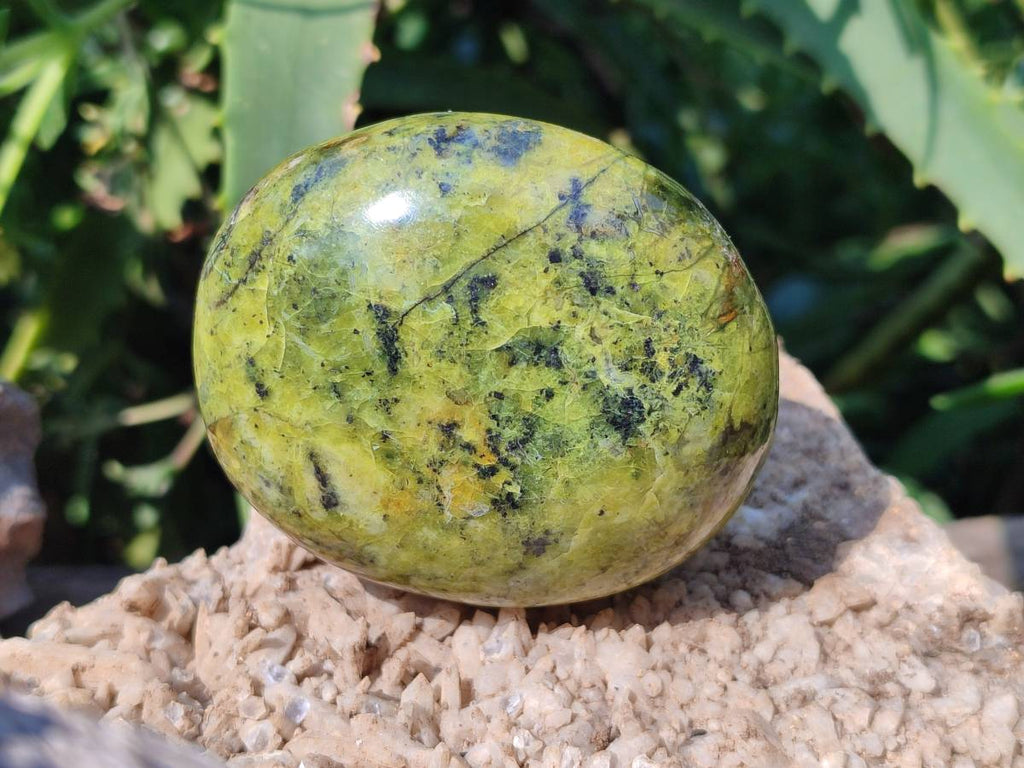 Polished Green Opal Palm Stones x 6 From Antsirabe, Madagascar - Toprock Gemstones and Minerals 