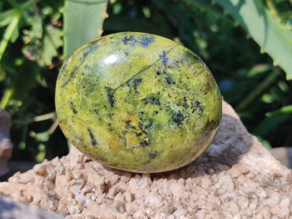 Polished Green Opal Palm Stones x 6 From Antsirabe, Madagascar - Toprock Gemstones and Minerals 